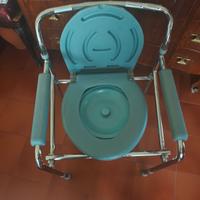 sedia wc anziani
