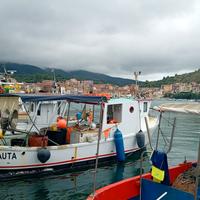 Barca con licenza di pesca