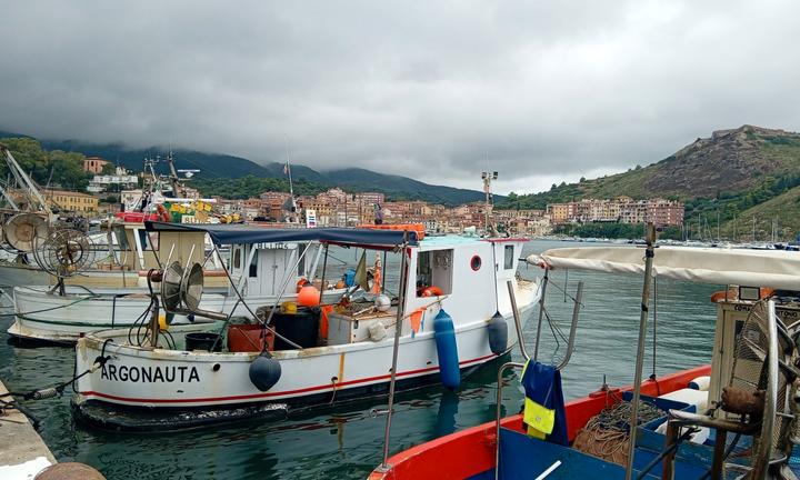 Barca con licenza di pesca