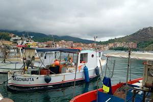 Barca con licenza di pesca