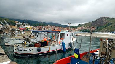 Barca con licenza di pesca