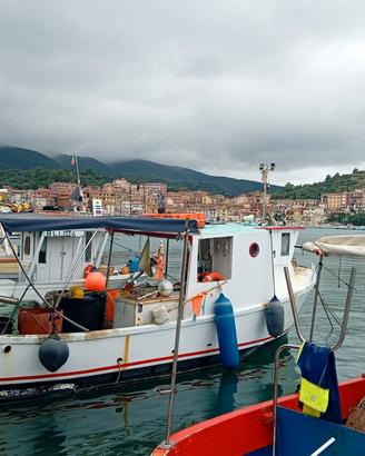 Barca con licenza di pesca