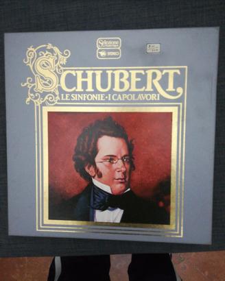 10 vinili Schubert - i capolavori 