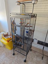 Gabbia per volatili 