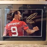 Quadro Ibrahimovic con firma olografata