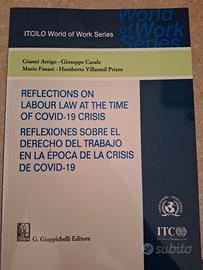 libri universitari diritto del lavoro