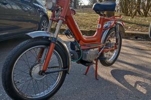 Rizzato Califfone del 1974 (valuto scambi)