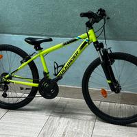Bicicletta 24