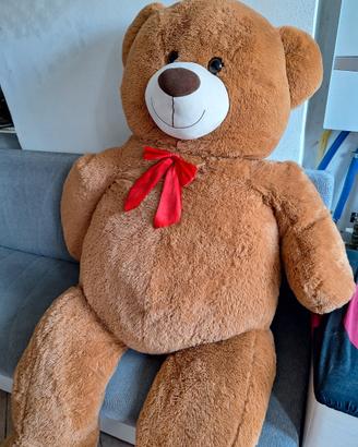 orso di peluche gigante