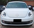 volkswagen-maggiolino-1-6-tdi-design-bluemotion-te