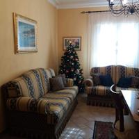 Coppia di Divani con cuscini coordinati