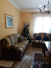 Coppia di Divani con cuscini coordinati