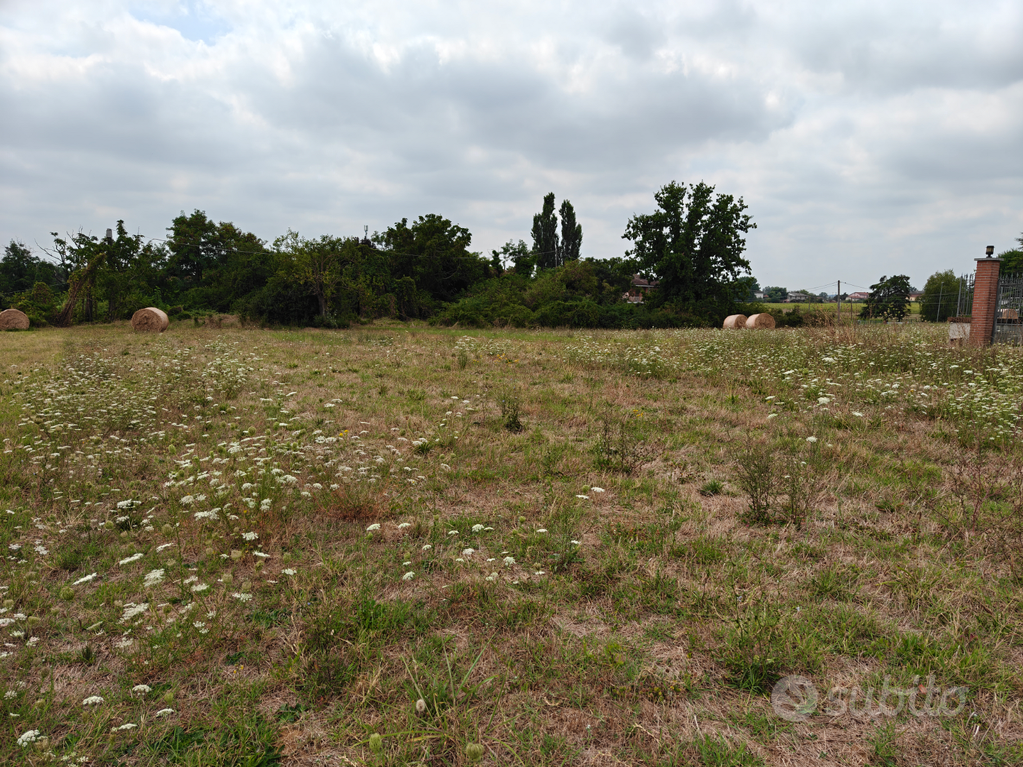 Terreno edificabile a Oviglio - More