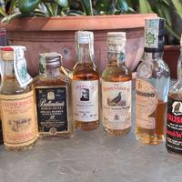 Miniature / Mignon whisky