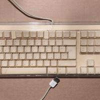 Apple Tastiera Keyboard M7803