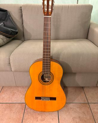 Chitarra acustica