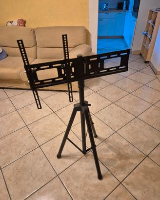 Cavalletto TV professionale