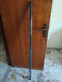 Canna fissa da pesca 