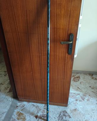 Canna fissa da pesca 