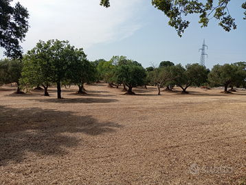 Terreno con progetto approvato Lamie di Olimpia