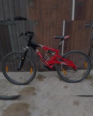 mountain bike