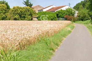 Terreno residenziale - Villamarzana