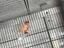 Immagine 1