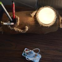 lampadina in legno a led ricaricabile 