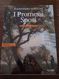 libro sui Promessi Sposi 