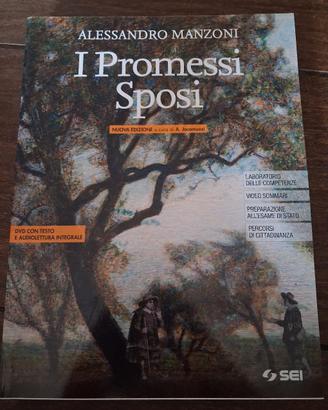 libro sui Promessi Sposi 