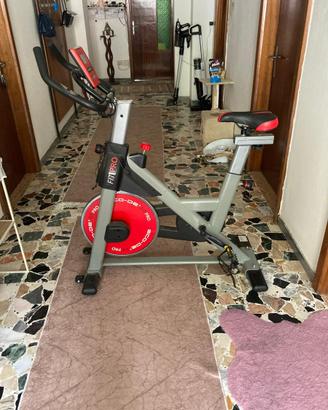 Sportive