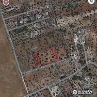 Terreno in via delle Margherite