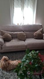 divano 2 posti e 3 posti 