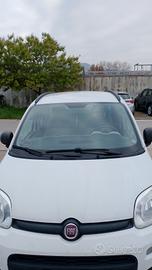 panda metano  twinair 