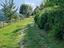 Immagine 7