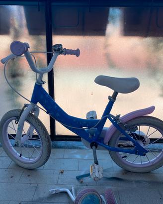 Bici frozen