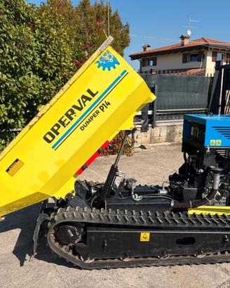 M159 - Dumper radiocomandato ribaltabile seminuovo