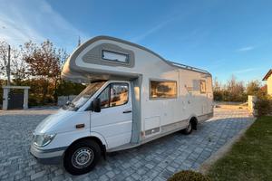 Arca 715 glt