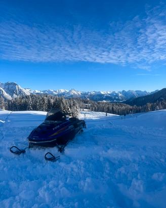 Polaris rmk 700