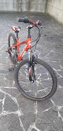 bicicletta bimbo 24"