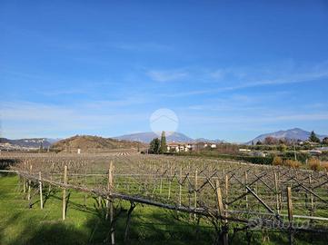 TER. AGRICOLO A PASTRENGO