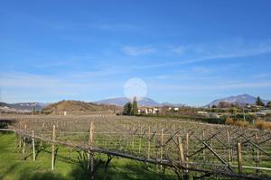 TER. AGRICOLO A PASTRENGO