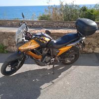 Transalp 700 
