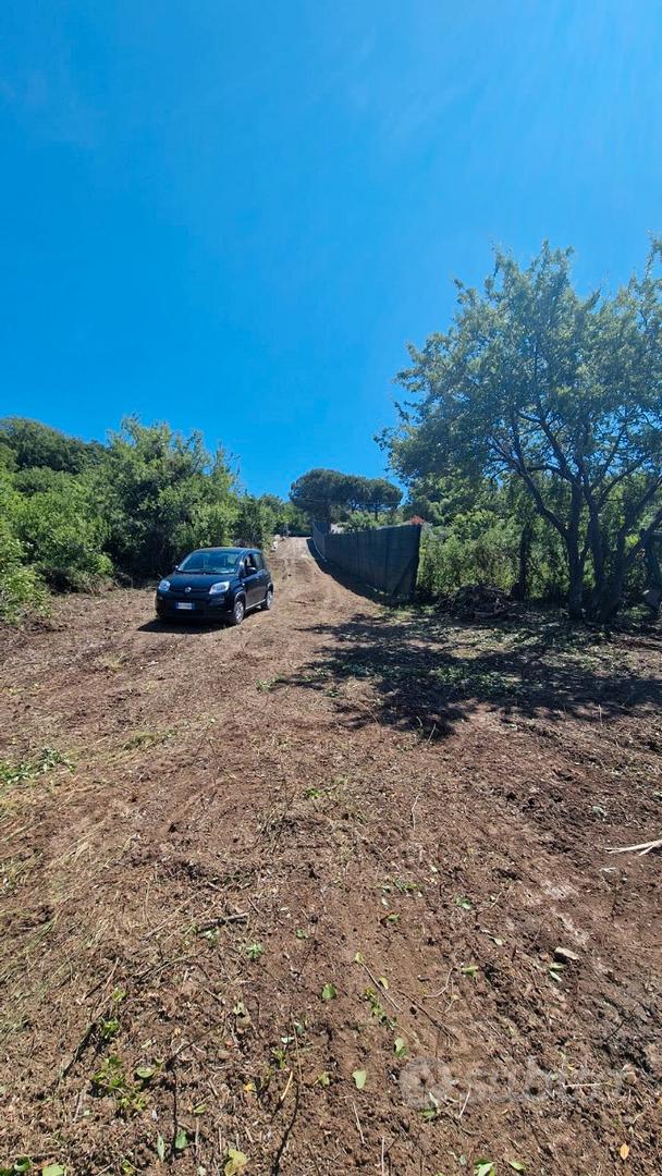 Terreno agricolo - Vista 4