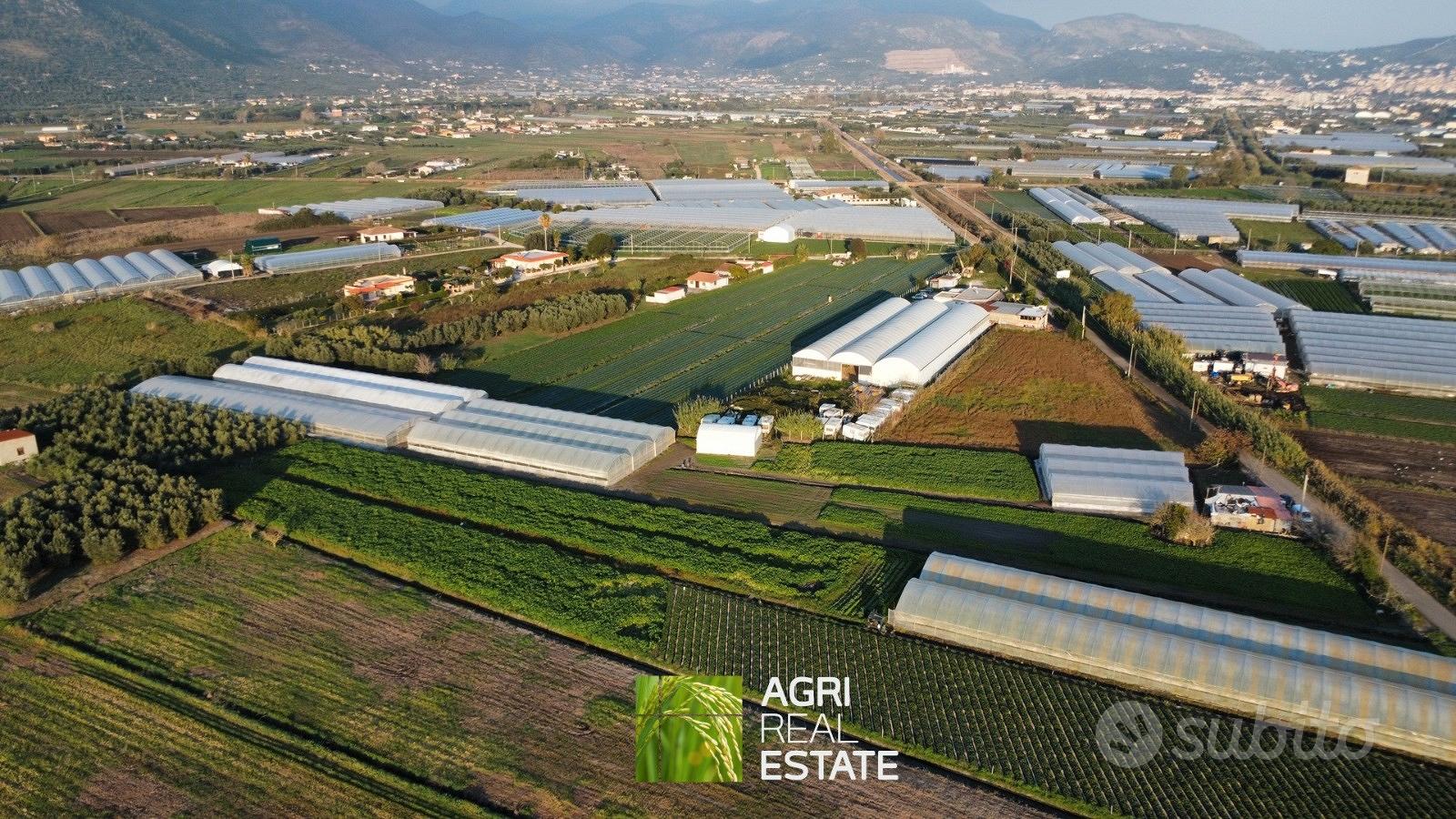 Terreno 5.000 mq ca. con serre | TR468 - Vista 2