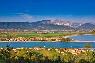 Rimessaggio Terreno Attività