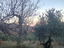 Immagine 6