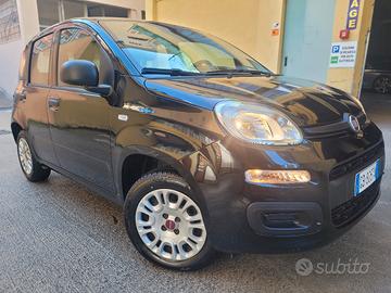 Fiat panda gpl.2020