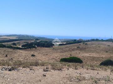 TER. AGRICOLO A SASSARI
