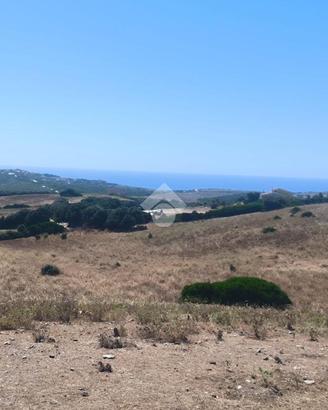 TER. AGRICOLO A SASSARI